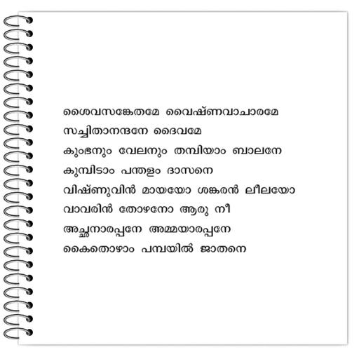 Picture of the product