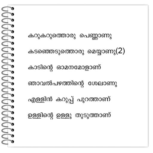 Picture of the product