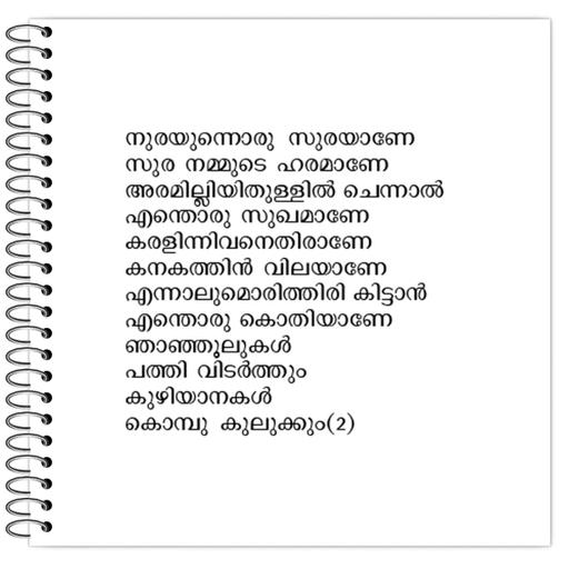 Picture of the product