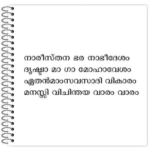 Picture of the product