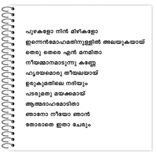 Picture of the product