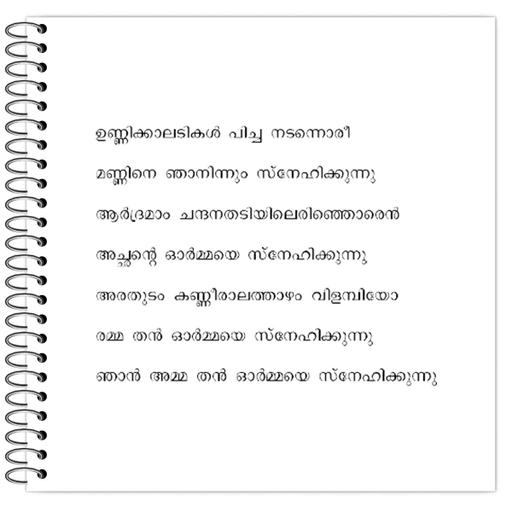 Picture of the product