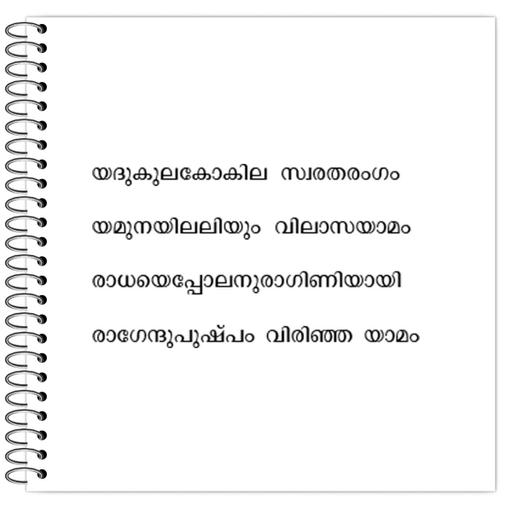 Picture of the product