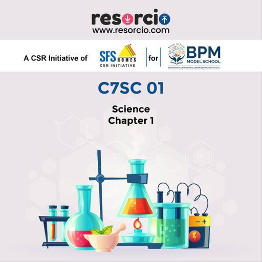 Picture of the product