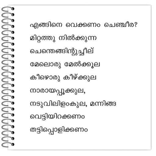 Picture of the product