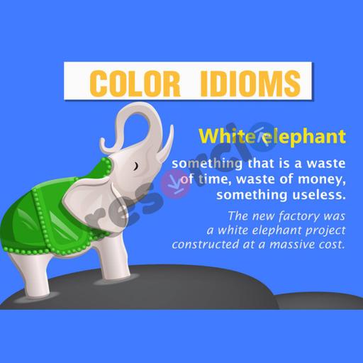 Picture of the product