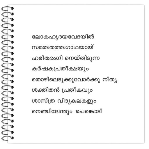 Picture of the product