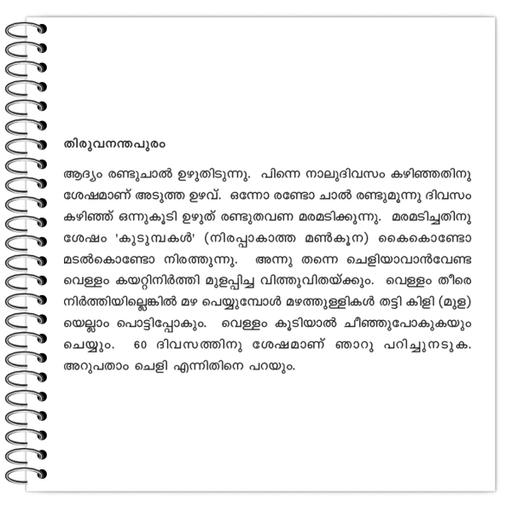 Picture of the product