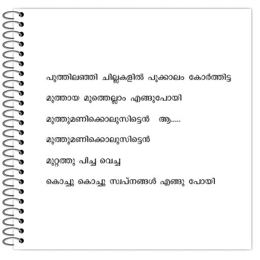 Picture of the product