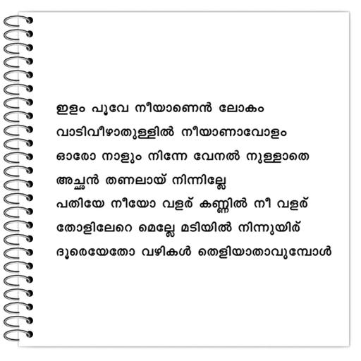 Picture of the product