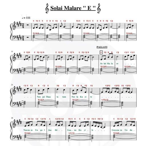 Picture of the product