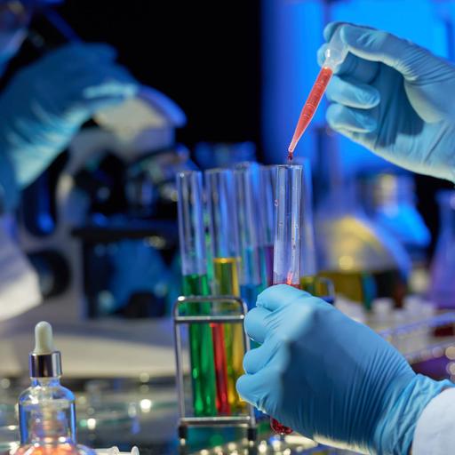 Picture of the product