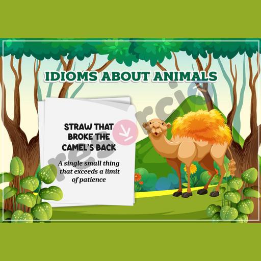 Picture of the product