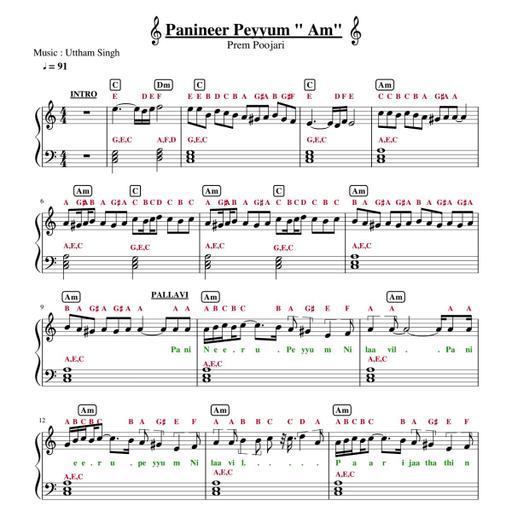 Picture of the product