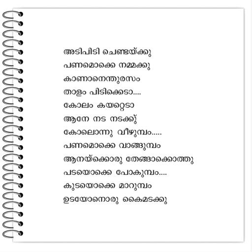 Picture of the product