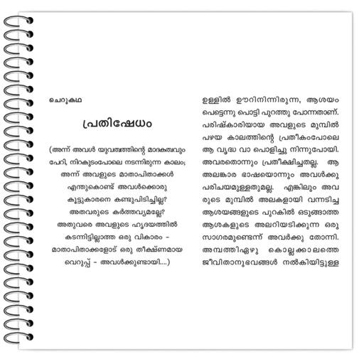 Picture of the product