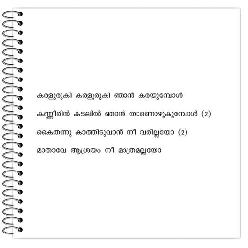 Picture of the product