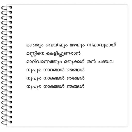 Picture of the product