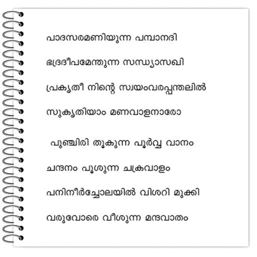 Picture of the product