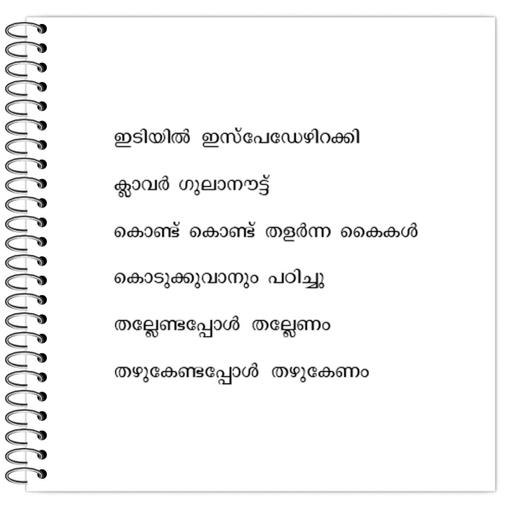 Picture of the product