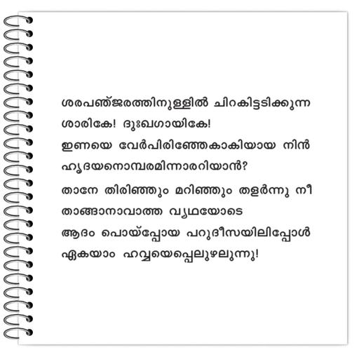 Picture of the product