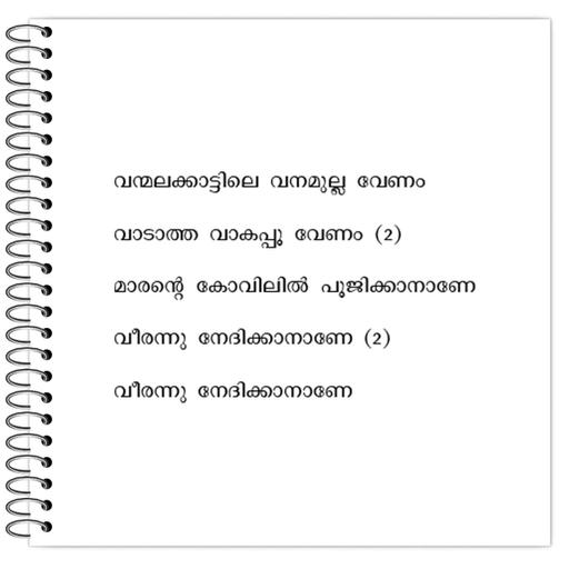 Picture of the product