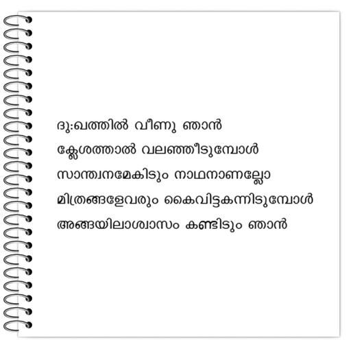 Picture of the product