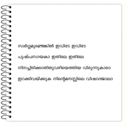 Picture of the product