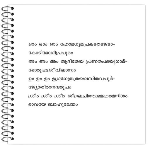 Picture of the product