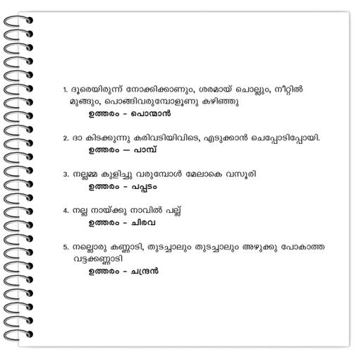 Picture of the product