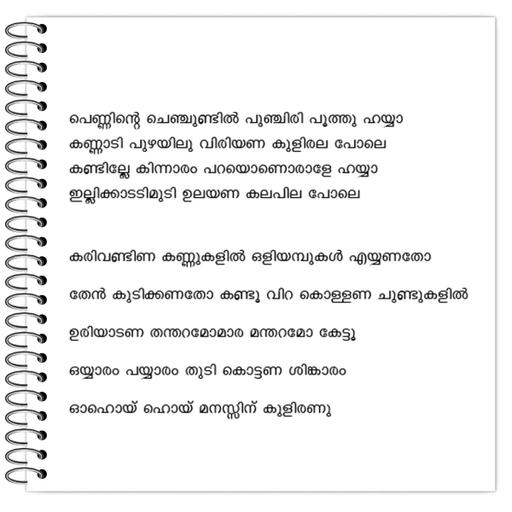 Picture of the product