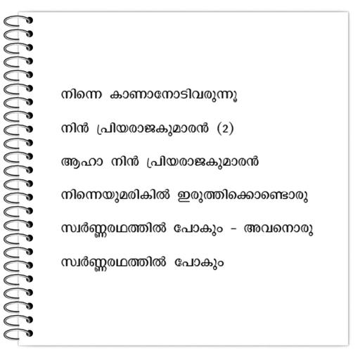 Picture of the product