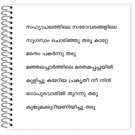 Picture of the product