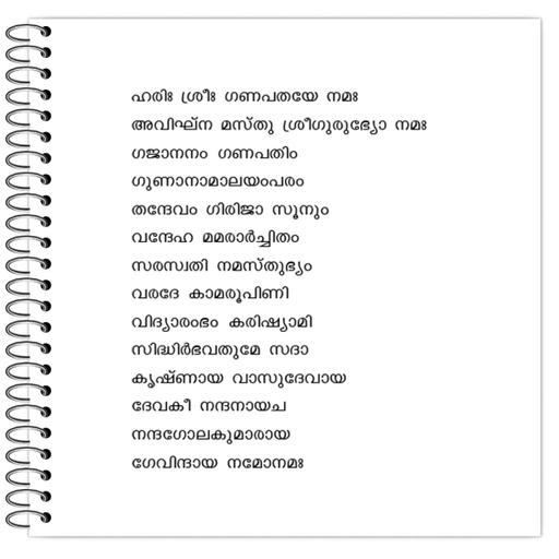 Picture of the product