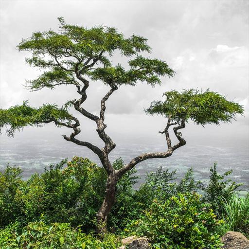 Picture of the product