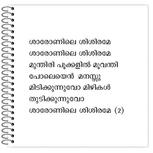 Picture of the product