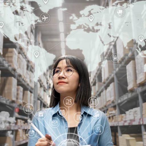 Picture of the product