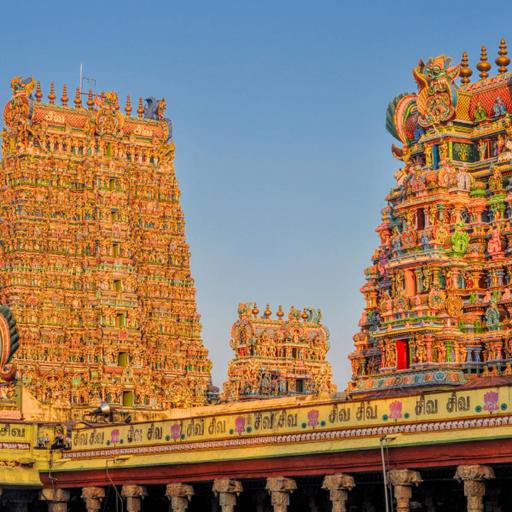 Picture of the product