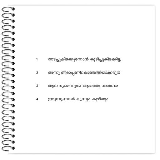 Picture of the product