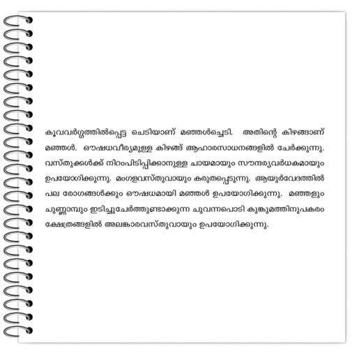 Picture of the product