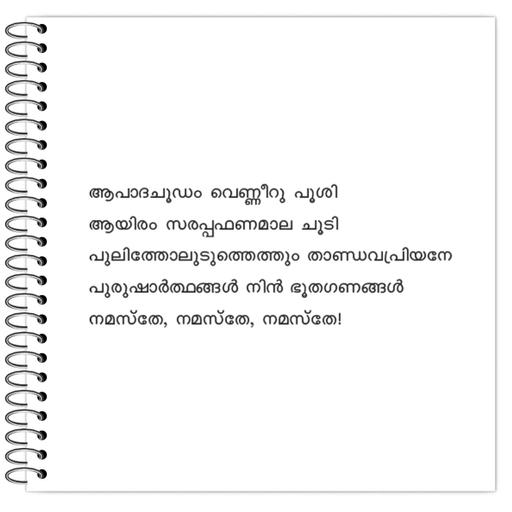 Picture of the product