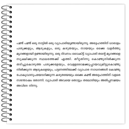 Picture of the product