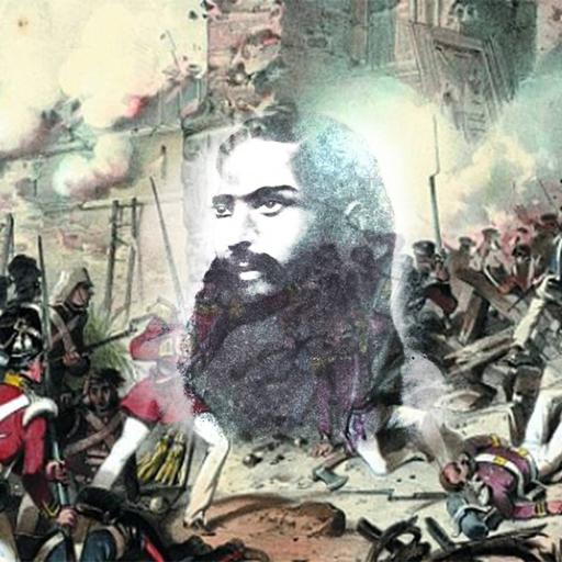 Picture of the product