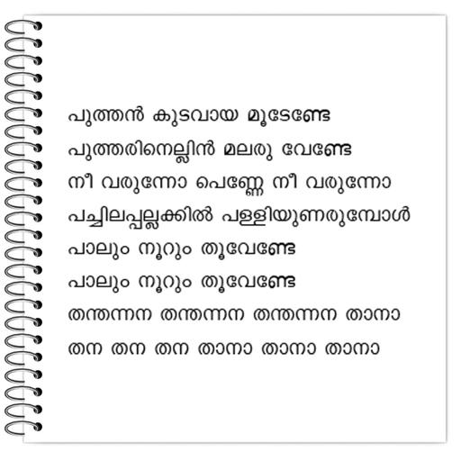 Picture of the product