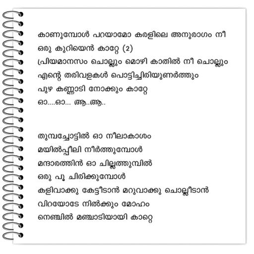 Picture of the product