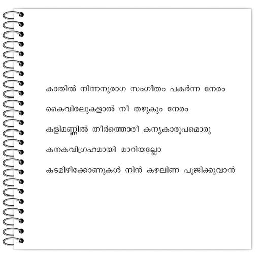 Picture of the product