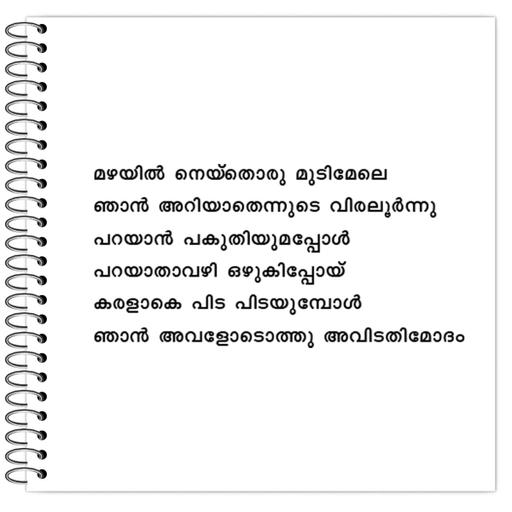 Picture of the product