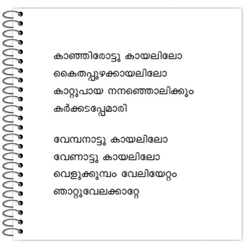 Picture of the product