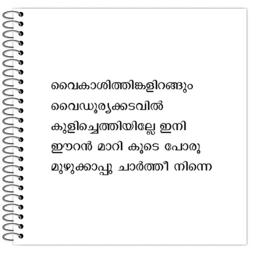 Picture of the product