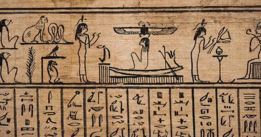 Picture of the category